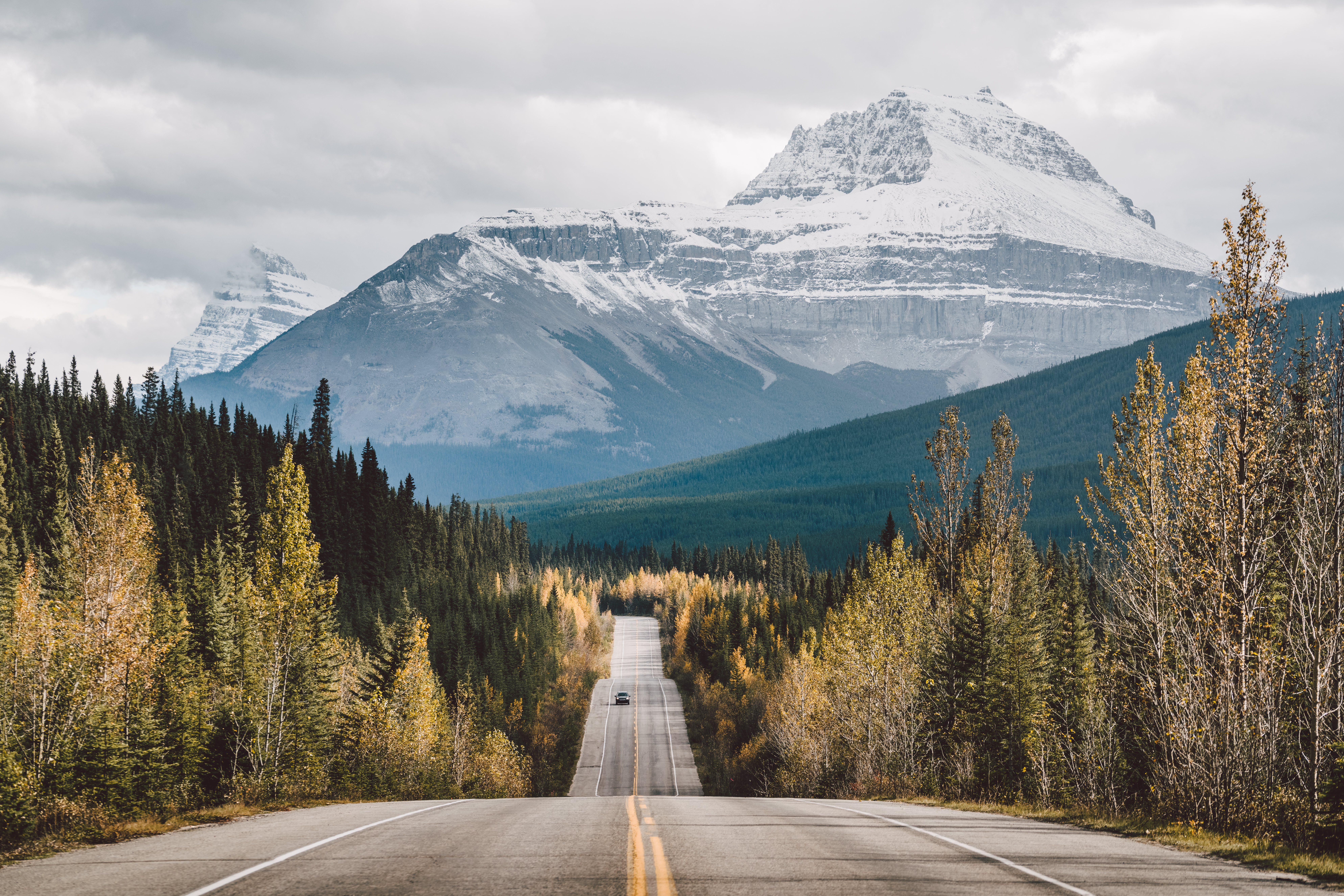 Highway with trees along both sides with view to picturesque snowcapped mountain
