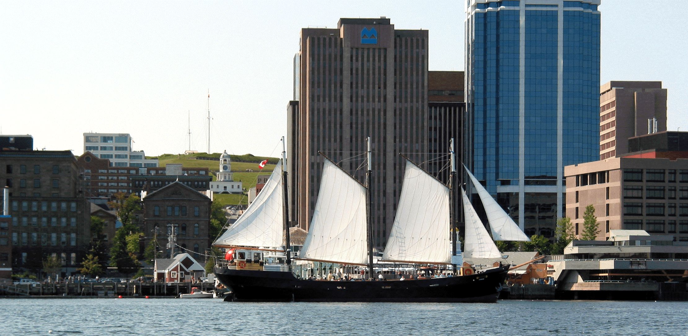Tall Ship Silva in front of Downtown Halifax