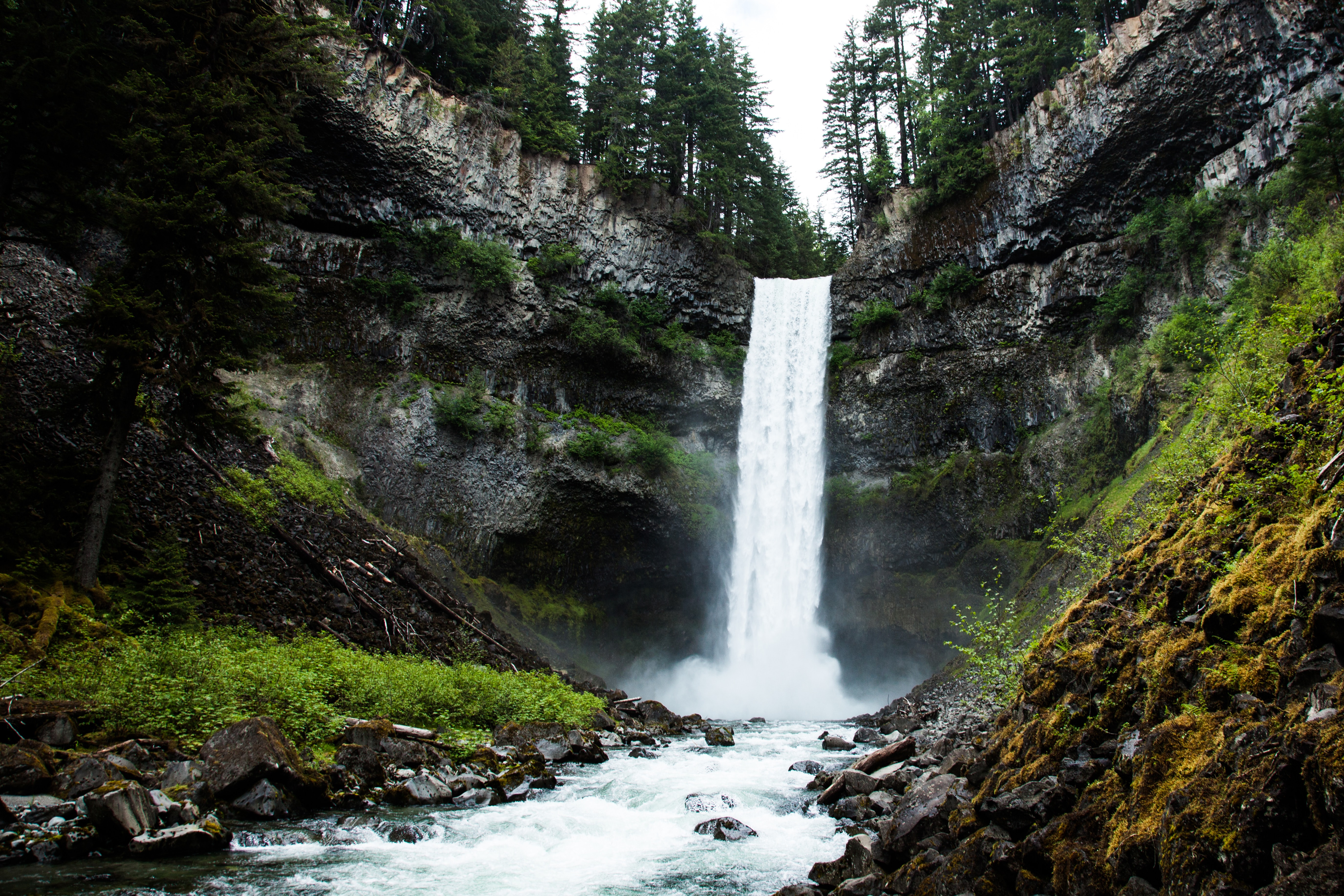 Waterfall in a forest
