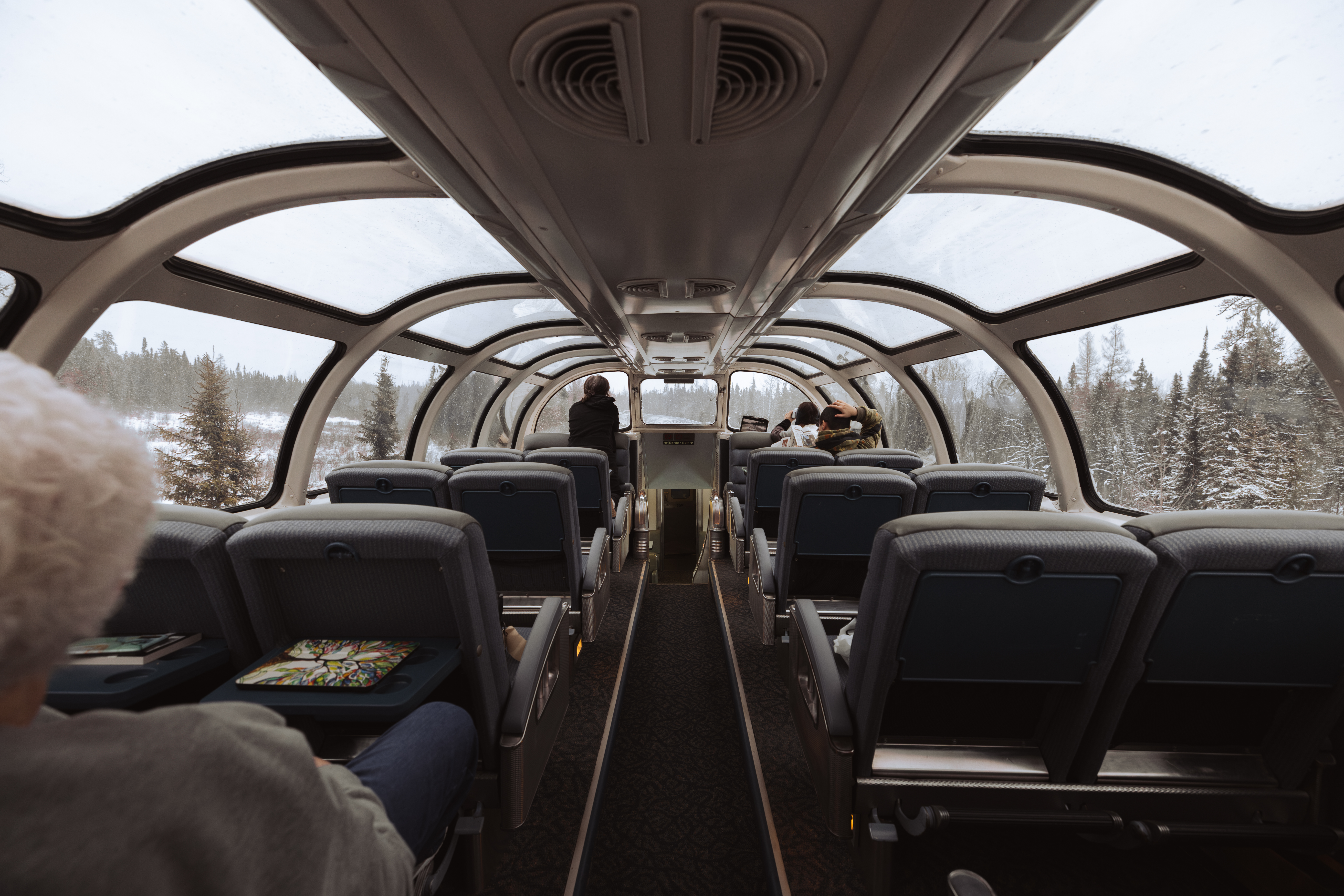 View from the Canadian train in the winter in Ontario