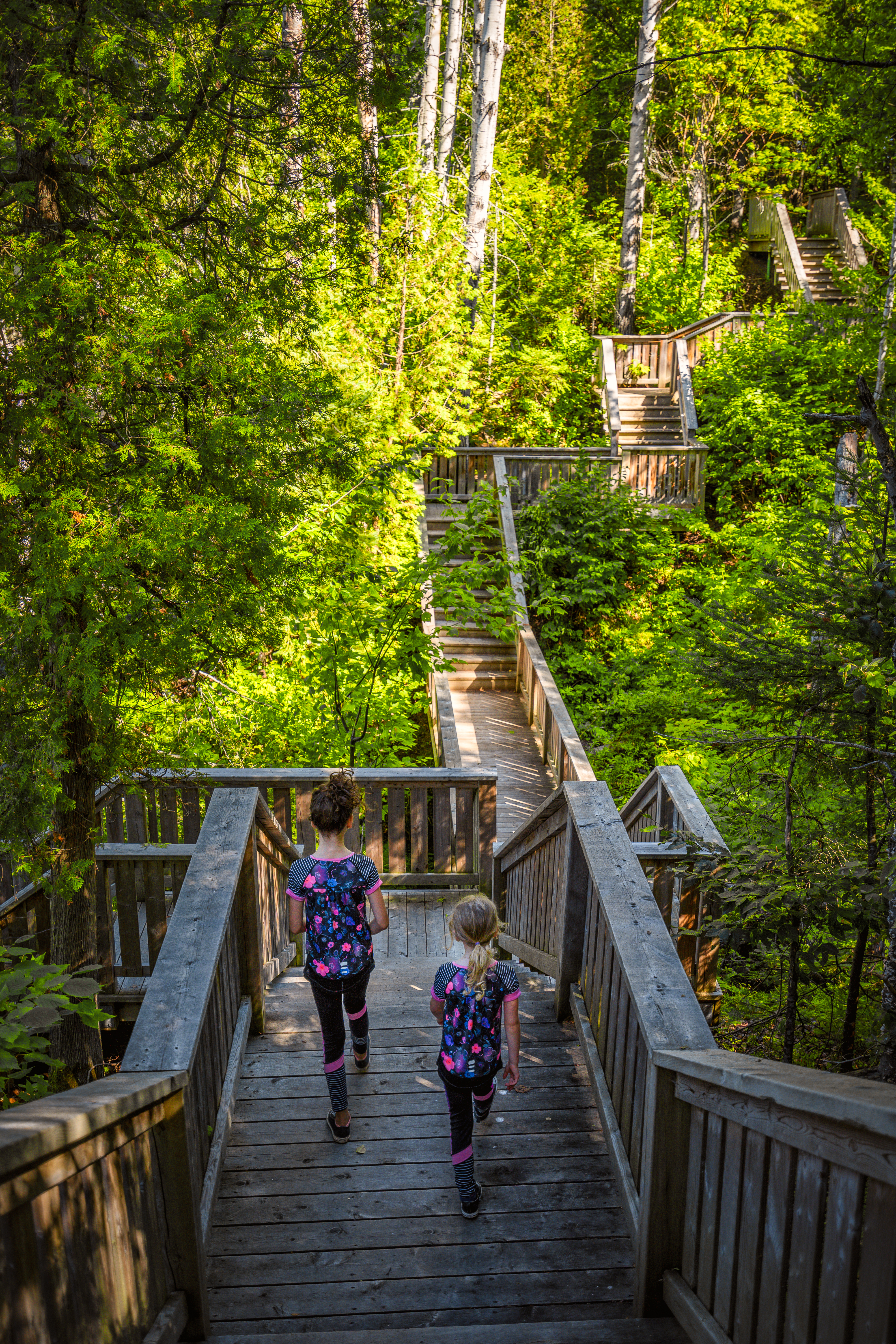 Children walk on nature preserve centre's wood plot stair network in area filled with trees in Bathurst