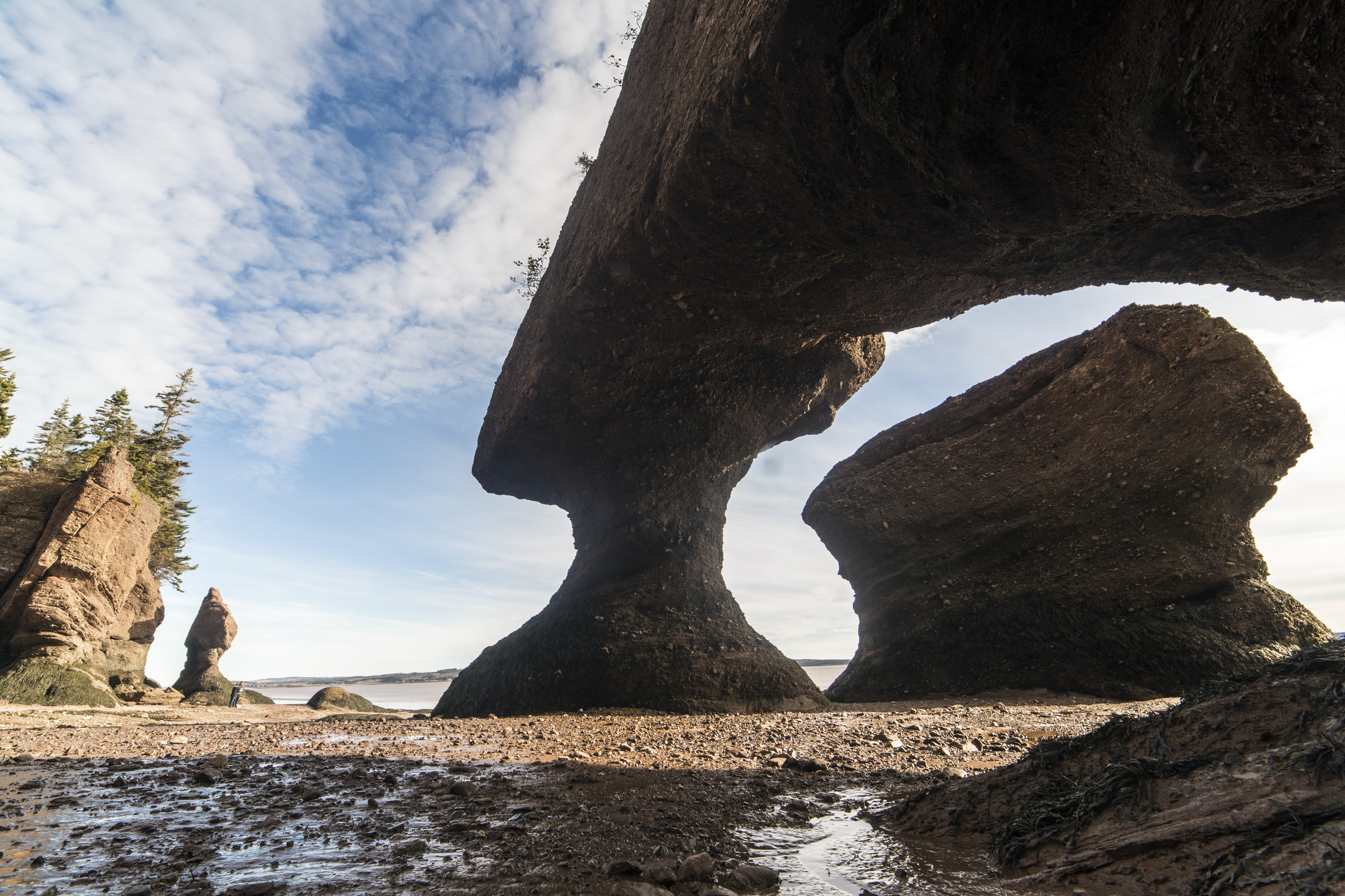 The ocean floor at Hopewell Rocks with large natural rock sculptures in summer