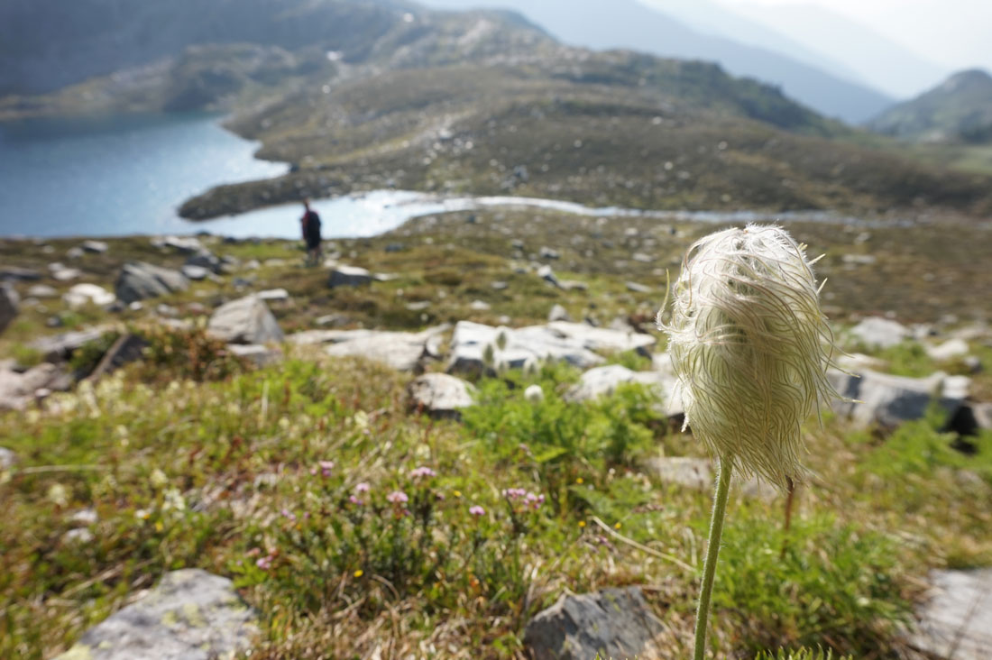 Heli-hiking in the Canadian Rockies
