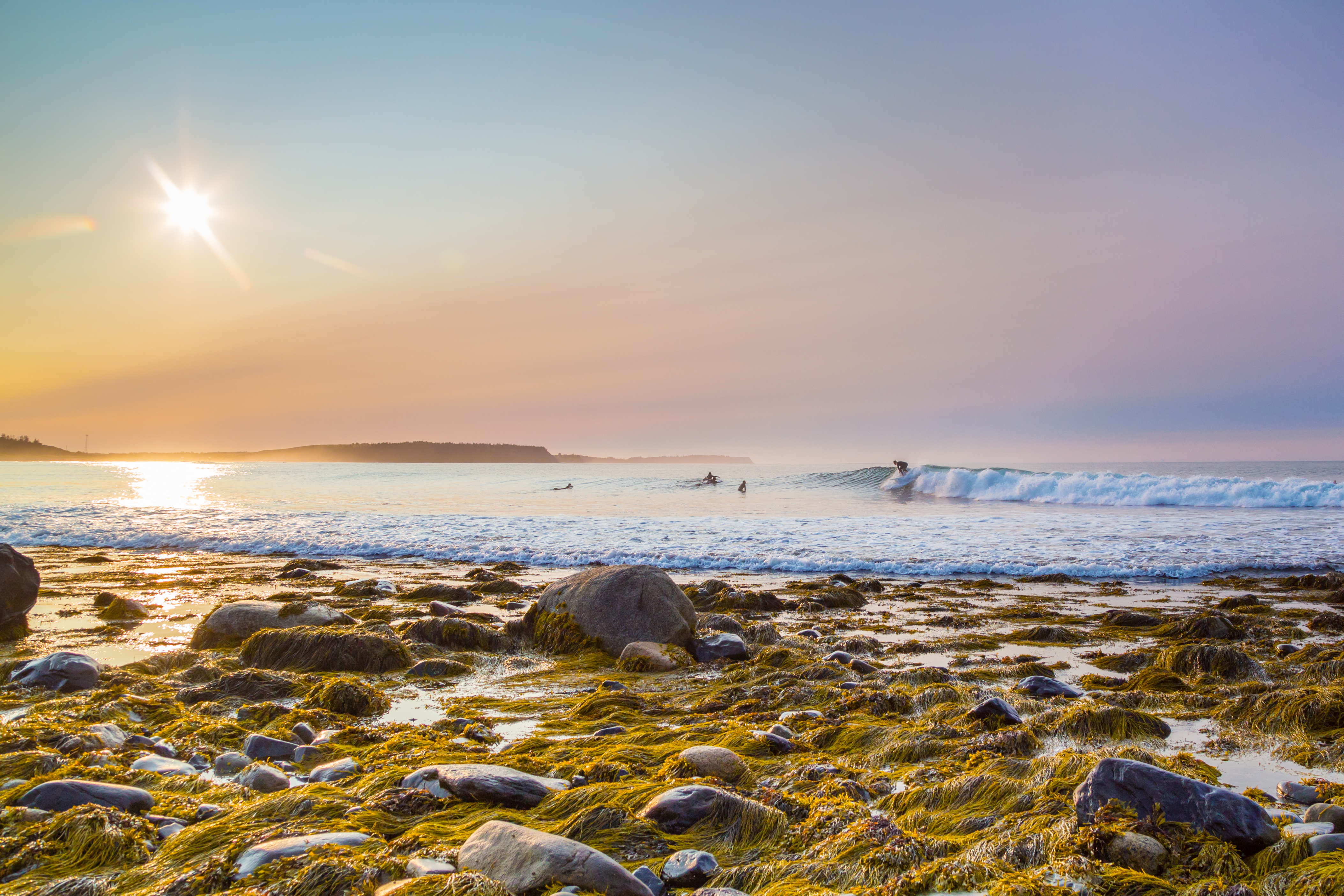 Surfers enjoy the saltwater waves in beach with cobbles in Halifax