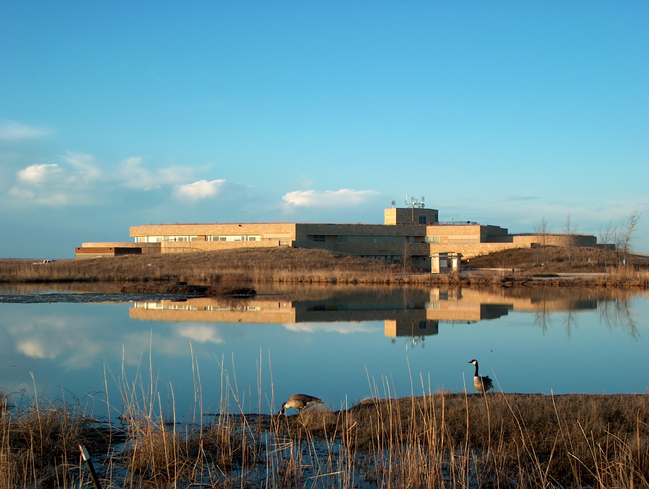 A couple of Canada geese in front of a marshy area and interpretive centre