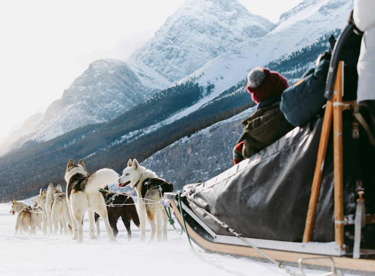 Dog sledding