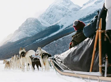 Dog sledding