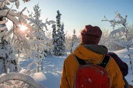Winter wonders of the Northwest Territories