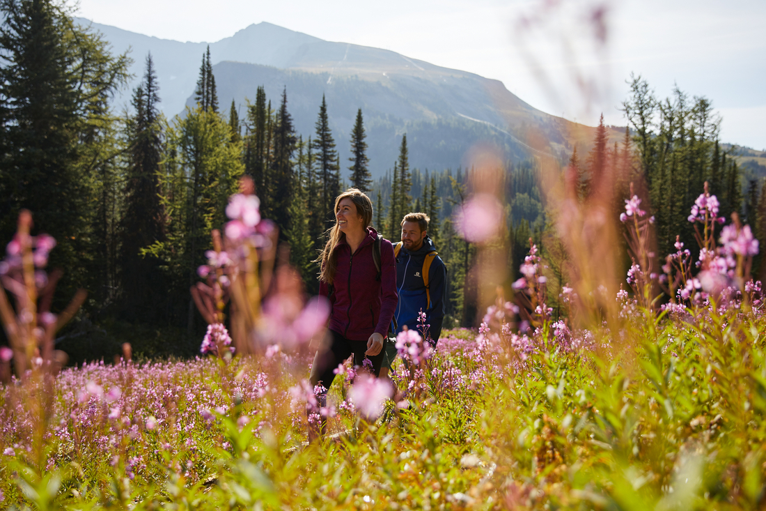 Blossoms and plantlife 