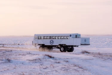 Tundra Buggy driving across the snow in Churchill with soft pink sky above