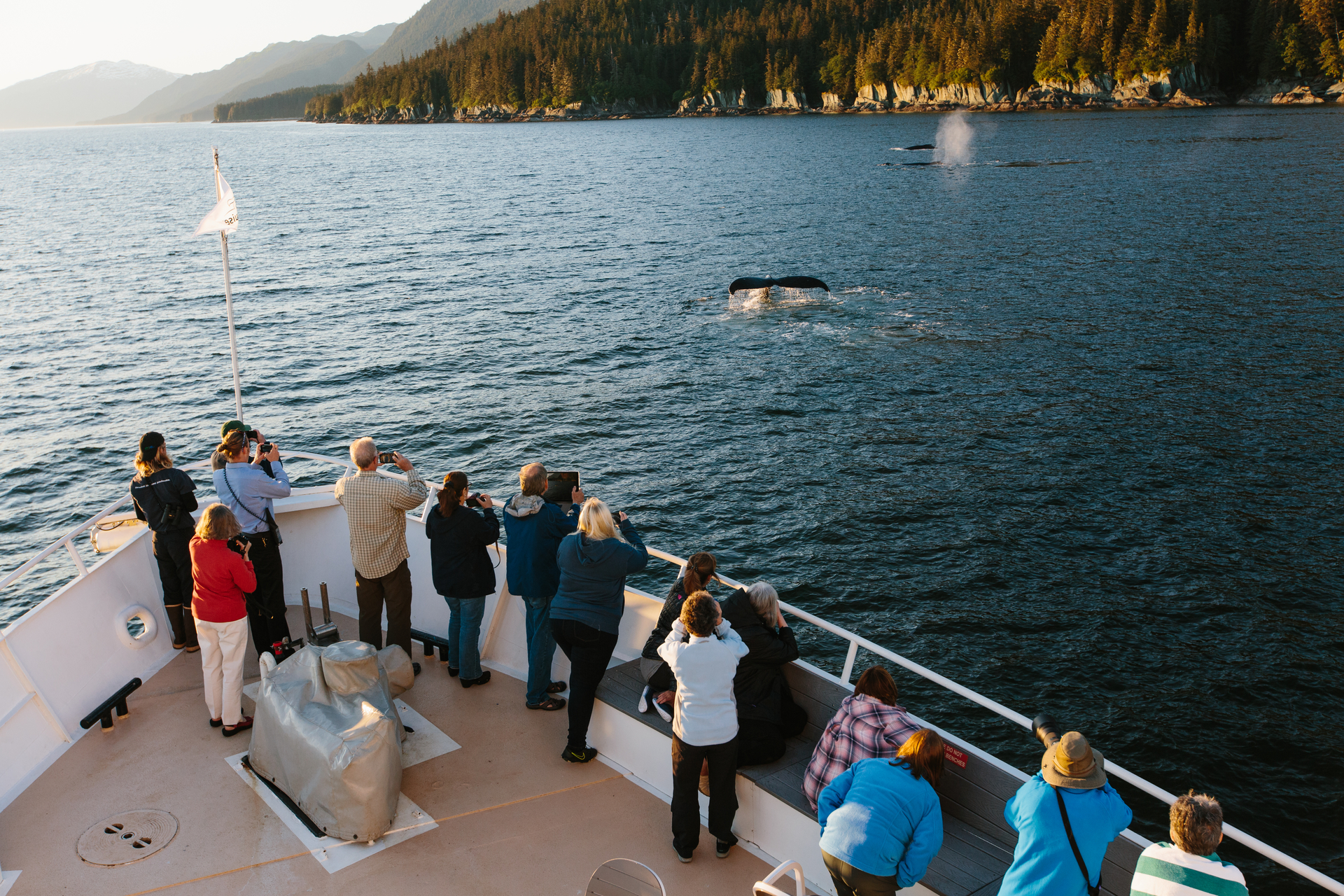 A group of people are standing on a boat looking at whales in the water
