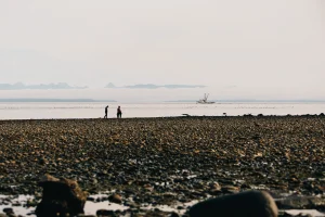 Fly to Campbell River