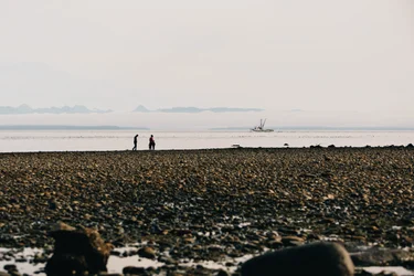 Fly to Campbell River