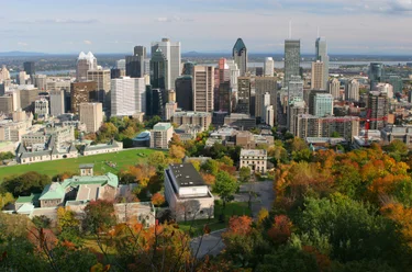 Arrive in Montreal