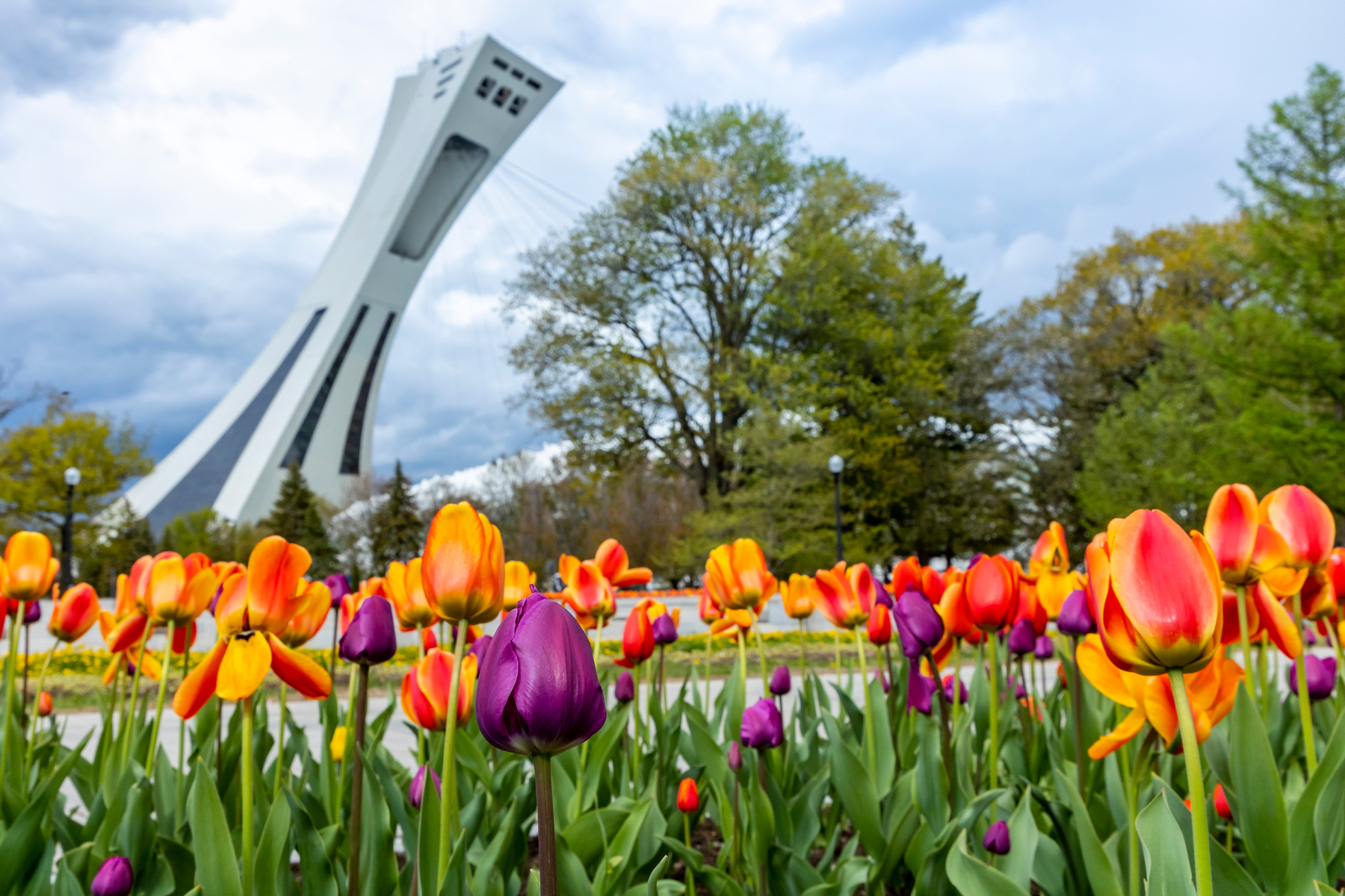 Montreal Botanical Garden
