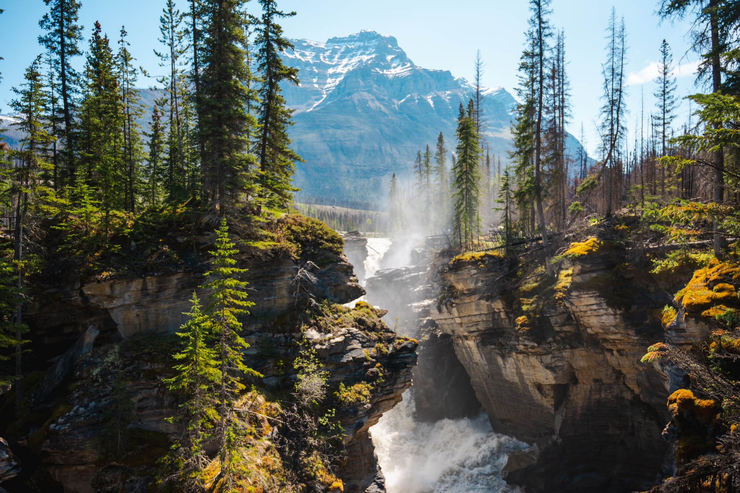 Icefields Parkway - Jasper to Glacier View Lodge