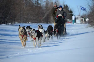 Dogsledding in Churchill