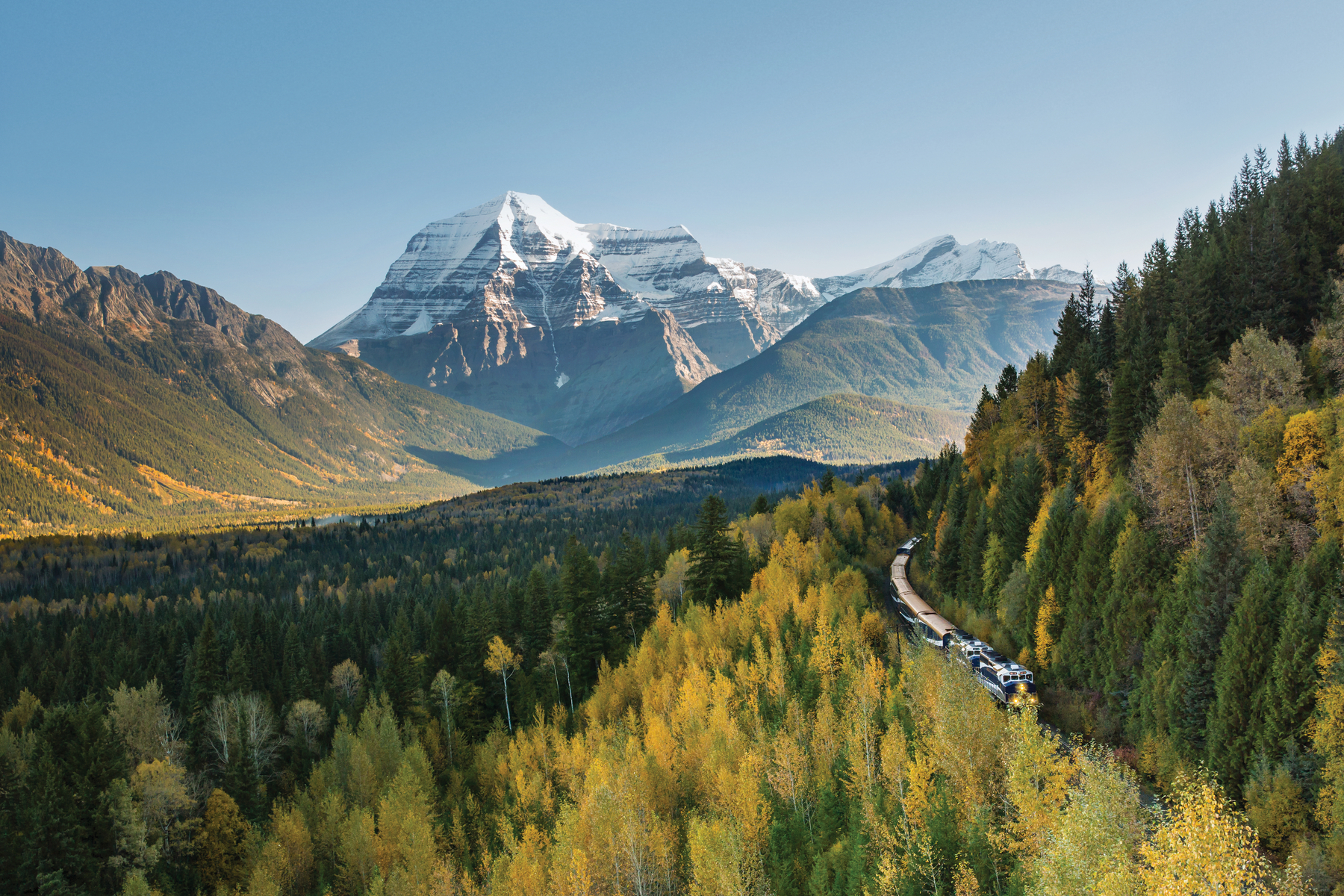 Train going through a forest in the fall in the Canadian Rockies