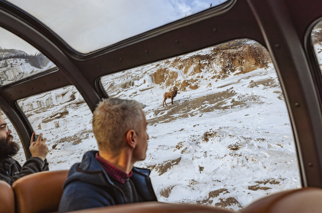 The Canadian train's scenic dome section in the Park Car.