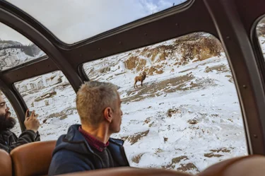 The Canadian train's scenic dome section in the Park Car.