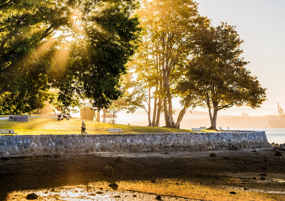  The Seawall at Vancouver's Stanley Park is a top excursion 