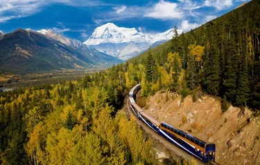 Daylight Train
