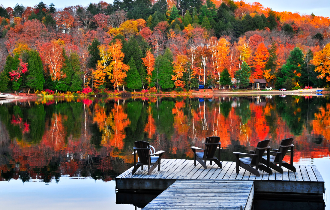 Wooden dock with chairs to view fall trees in Algonquin Provincial Park.