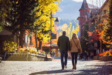 Whistler