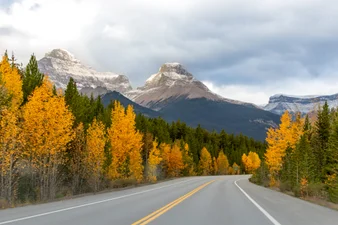 A winding mountain highway leads through an alpine forest toward dramatic, snow-covered peaks along the Icefields Parkway in Alberta, Canada. This iconic stretch of road connects Jasper and Banff National Parks and is renowned for its stunning landscapes. The empty road evokes themes of solitude, freedom, and exploration, ideal for concepts of road travel, adventure, and scenic wilderness.
Keywords: