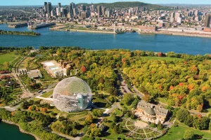 Discover Montreal