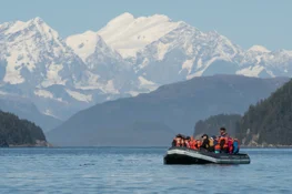 Discover Alaskan wildlife