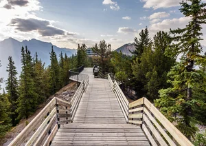 Sulphur Mountain