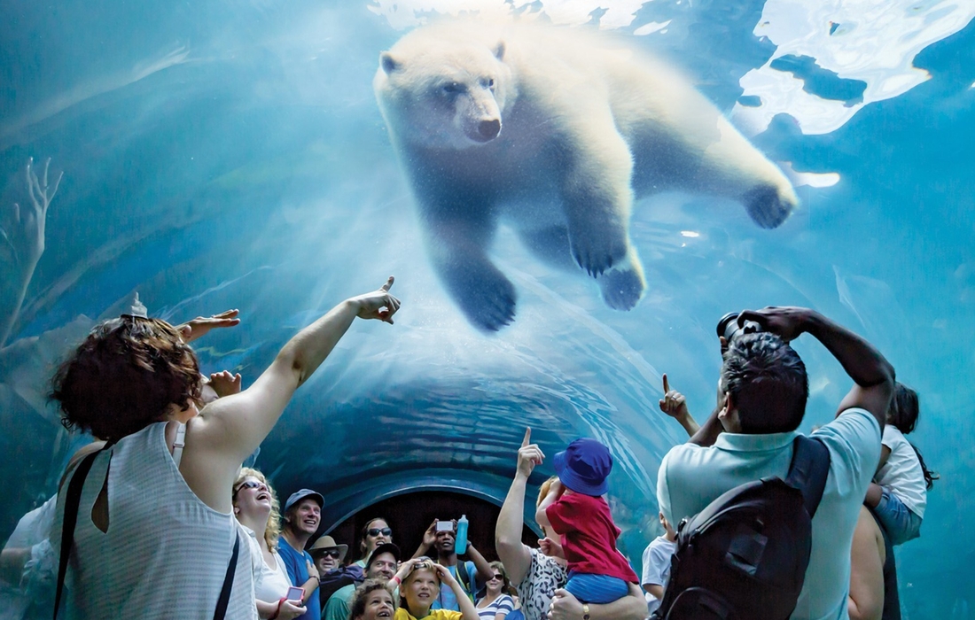  Winnipeg's Assiniboine Park Zoo is worth a stop along the Toronto to Vancouver train route 