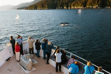 A group of people are standing on an UnCruise Alaska cruise ship with UnCruise, looking at whales in the water