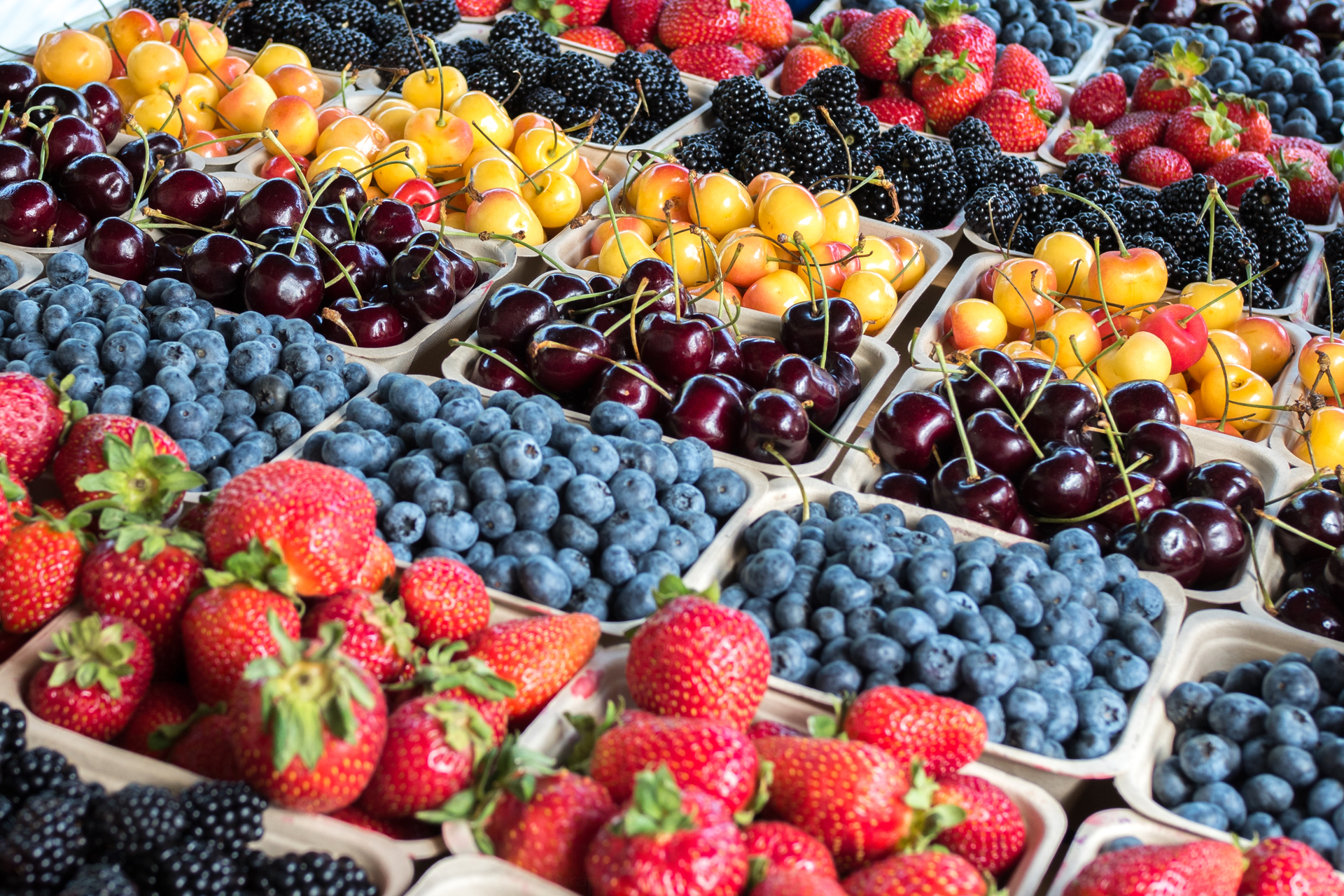 Local Grown Organic Fresh Berries and Cherries at Farmers Market