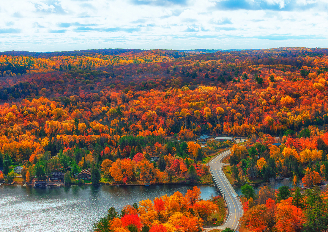 An expansive view of a lake and vivid foliage with a road curving into the colourful forest