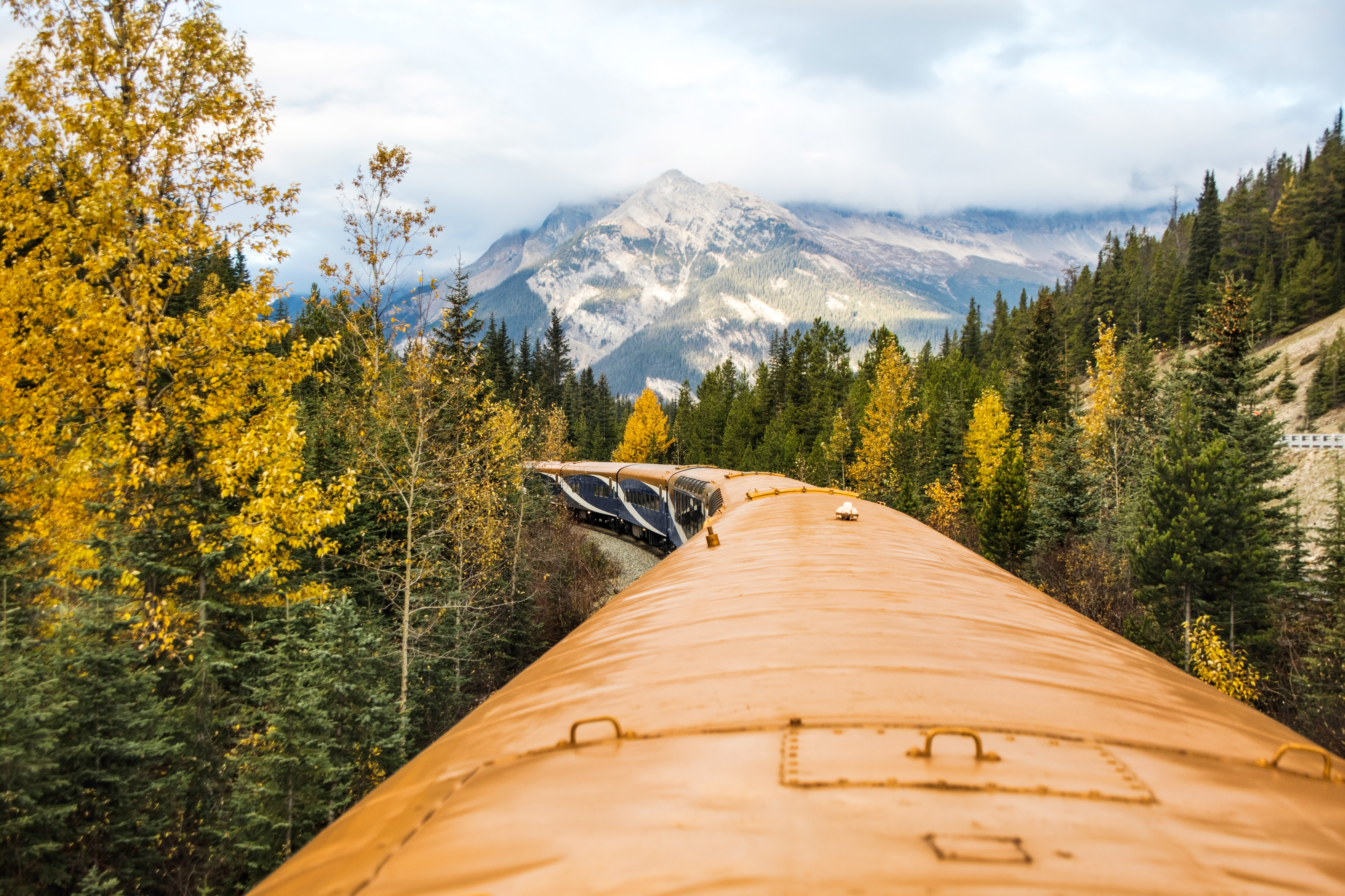 Top of the Rocky Mountaineer train as it goes through a forest during fall in the Canadian Rockies