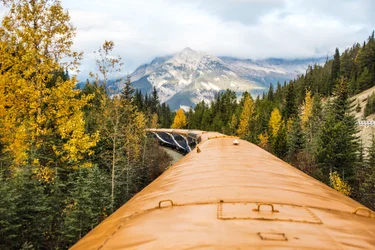 Top of the Rocky Mountaineer train as it goes through a forest during fall in the Canadian Rockies