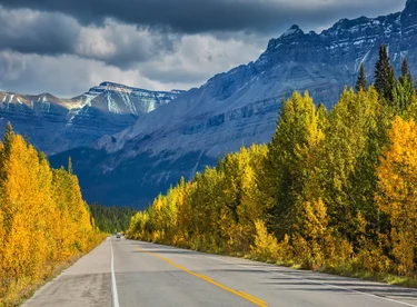 Scenic Drives