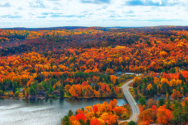 An expansive view of a lake and vivid foliage with a road curving into the colourful forest