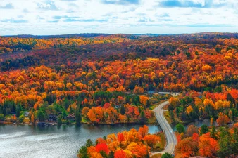 An expansive view of a lake and vivid foliage with a road curving into the colourful forest