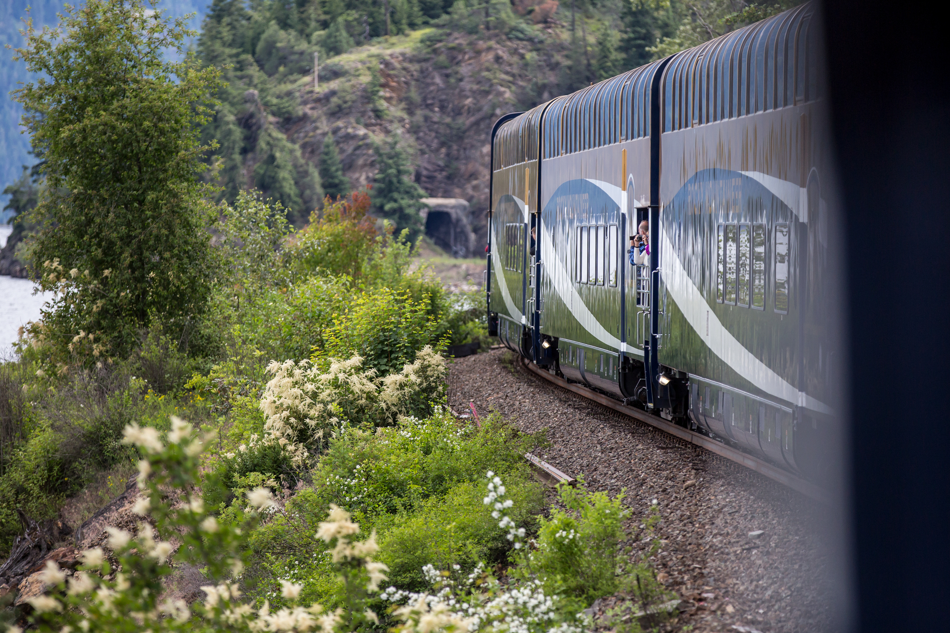 Rocky Mountaineer train going round a bend with trees all around