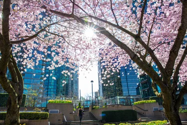Arrive in Vancouver