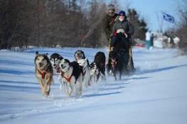 Dogsledding in Churchill