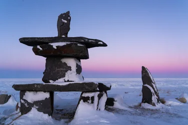 Fly north into polar bear territory