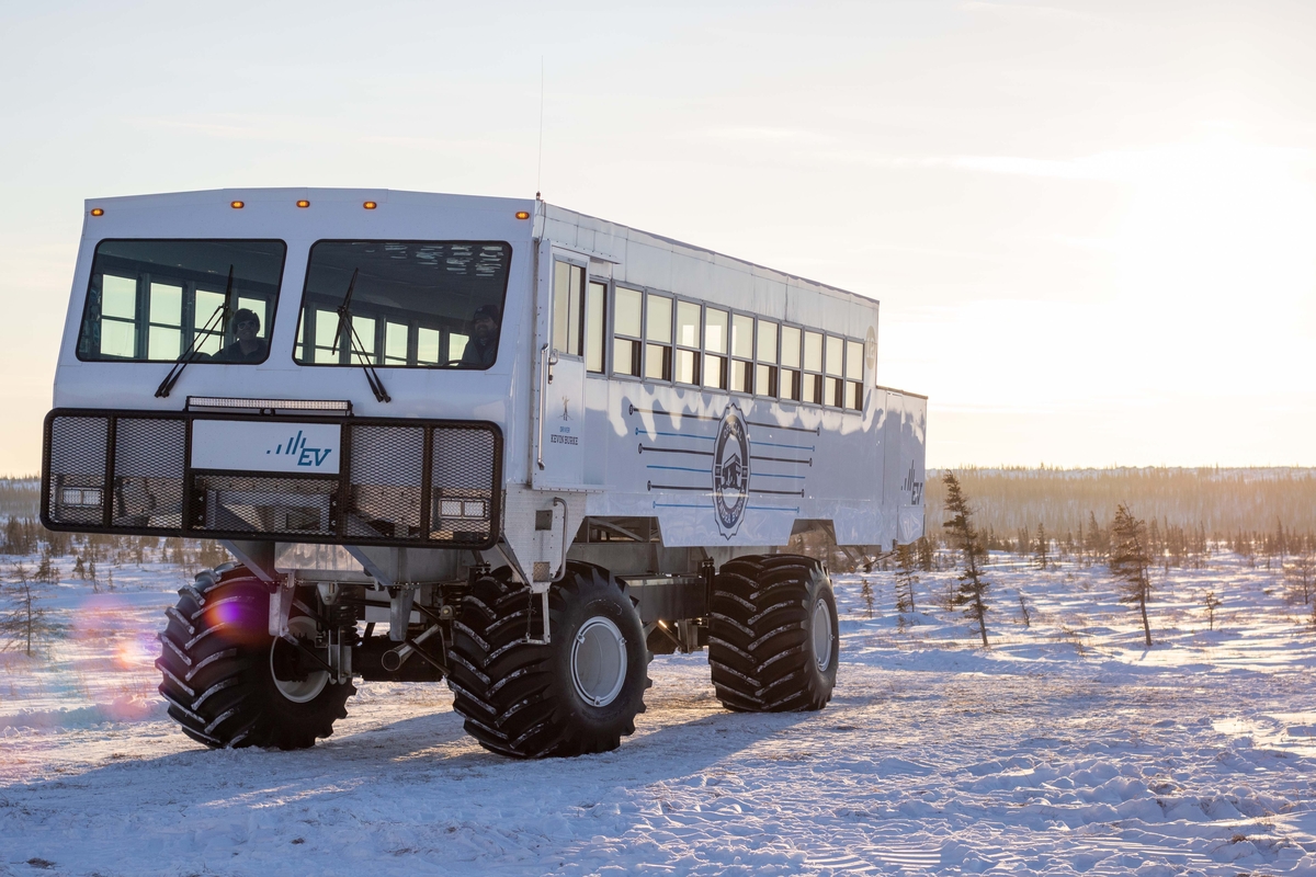 All-terrain tires and suspension