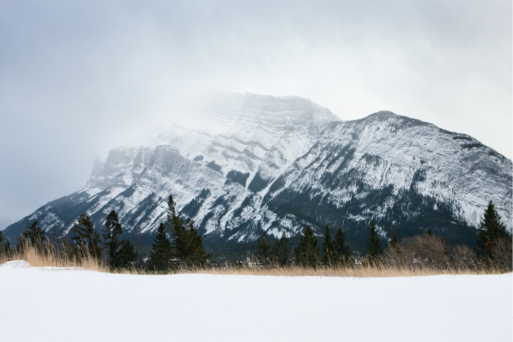 Distinct Climate Zones