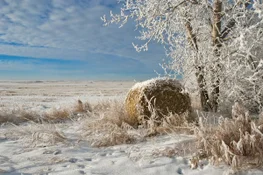 VIA Rail – Canadian Prairies