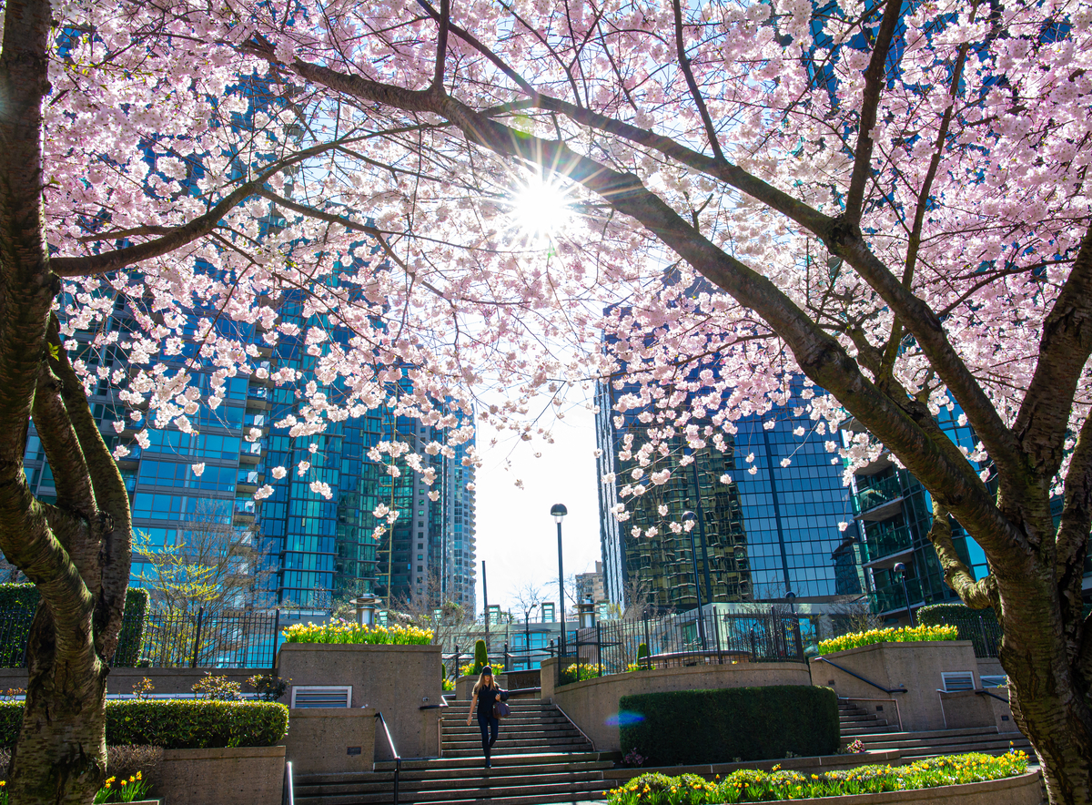 Spring is a great season for train travel in Canada