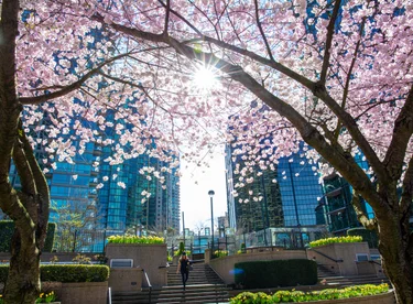Spring is a great season for train travel in Canada